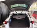 Renault Megane Techno 1 BESITZ - thumbnail 10