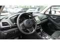Subaru Forester Platinum 2.0ie Mild-Hybrid Navi Schiebedach Leder Albastru - thumbnail 11