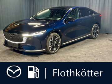 258PS TAKUMI*LEDER-S*PANO