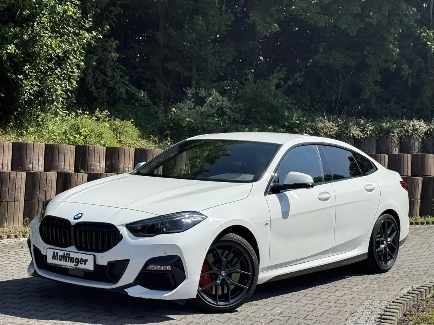 BMW 220 i GC M Sport M Leuchten LiveProf.Kamera HiFi Blanc - 2