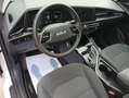 Kia Niro 1.6 GDi HEV 104kW (141CV) Concept Bílá - thumbnail 11