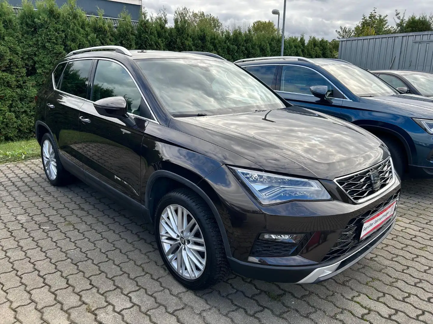 SEAT Ateca XCELLENCE Braun - 2