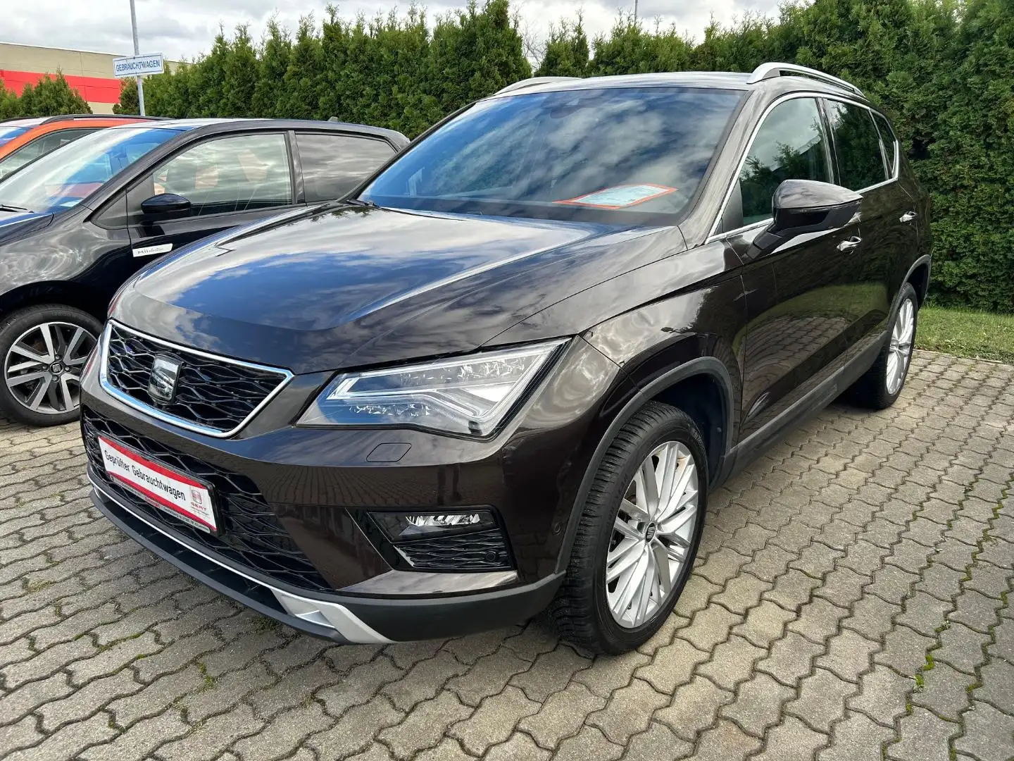 SEAT Ateca XCELLENCE Braun - 1