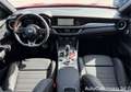 Alfa Romeo Stelvio 2.2 Turbodiesel 210 CV AT8 Q4 Intensa / R7E00551 Rosso - thumbnail 12