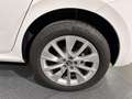 Skoda Kamiq Kamiq 1.0 TSI 110 CV DSG Ambition + GANCIO TRAINO Blanc - thumbnail 6