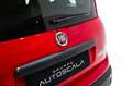 Fiat New Panda 1.0 FireFly S&S Hybrid Easy Rojo - thumbnail 27