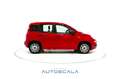 Fiat New Panda 1.0 FireFly S&S Hybrid Easy Rojo - thumbnail 21