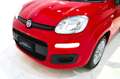 Fiat New Panda 1.0 FireFly S&S Hybrid Easy Rojo - thumbnail 23