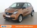 smart forFour 1.0 Basis passion Braun - thumbnail 1