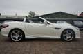 Mercedes-Benz SLK 250 CDI Roadster AMG-LINE|LEDER ROT|HARMAN Blanc - thumbnail 12