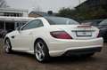 Mercedes-Benz SLK 250 CDI Roadster AMG-LINE|LEDER ROT|HARMAN Blanc - thumbnail 8