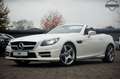 Mercedes-Benz SLK 250 CDI Roadster AMG-LINE|LEDER ROT|HARMAN Blanc - thumbnail 2