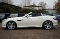 Mercedes-Benz SLK 250 CDI Roadster AMG-LINE|LEDER ROT|HARMAN Blanc - thumbnail 5