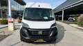 Fiat Ducato MAXI 35 L4H2 140  Netto € 33.790.- Ab 07/25 Weiß - thumbnail 3