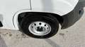 Fiat Ducato MAXI 35 L4H2 140  Netto € 33.790.- Ab 07/25 Weiß - thumbnail 5