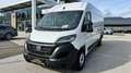 Fiat Ducato MAXI 35 L4H2 140  Netto € 33.790.- Ab 07/25 Weiß - thumbnail 2