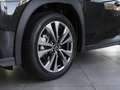 Lexus UX 250h 300h F Sport Design NAVI SHZ PDC KLIMA BT ZV Schwarz - thumbnail 13