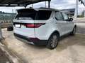 Land Rover Discovery Discovery 5 2.0 sd4 HSE Luxury 240cv 7p auto Weiß - thumbnail 4