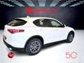 Alfa Romeo Stelvio 2.2 Turbodiesel 210 CV AT8 Q4 Iva Esposta Bianco - thumbnail 7