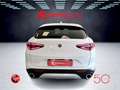 Alfa Romeo Stelvio 2.2 Turbodiesel 210 CV AT8 Q4 Iva Esposta Bianco - thumbnail 9