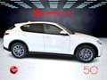 Alfa Romeo Stelvio 2.2 Turbodiesel 210 CV AT8 Q4 Iva Esposta Bianco - thumbnail 6