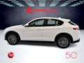 Alfa Romeo Stelvio 2.2 Turbodiesel 210 CV AT8 Q4 Iva Esposta Bianco - thumbnail 12