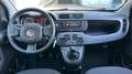 Fiat Panda 1.0 MHEV CROSS 70 5P Blanco - thumbnail 9