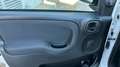 Fiat Panda 1.0 MHEV CROSS 70 5P Blanco - thumbnail 19