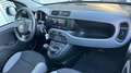 Fiat Panda 1.0 MHEV CROSS 70 5P Blanco - thumbnail 11