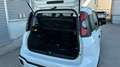 Fiat Panda 1.0 MHEV CROSS 70 5P Blanco - thumbnail 17