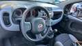 Fiat Panda 1.0 MHEV CROSS 70 5P Blanco - thumbnail 8