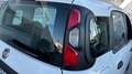 Fiat Panda 1.0 MHEV CROSS 70 5P Blanco - thumbnail 15