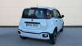Fiat Panda 1.0 MHEV CROSS 70 5P Blanco - thumbnail 4