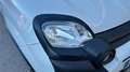 Fiat Panda 1.0 MHEV CROSS 70 5P Blanco - thumbnail 7