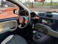Fiat Panda 0.9 TwinAir Turbo S&S 4x4 SOLO 130000 KM Verde - thumbnail 6
