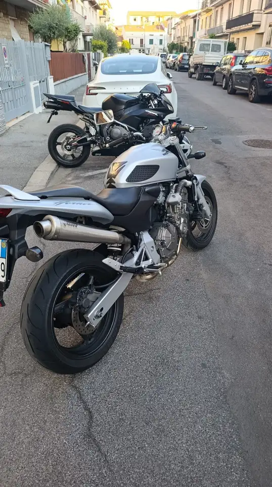 Honda Hornet