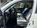 Kia Sorento Platinum Edition 4WD/ Vollausstattung Weiß - thumbnail 10