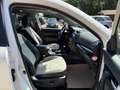 Kia Sorento Platinum Edition 4WD/ Vollausstattung Weiß - thumbnail 14