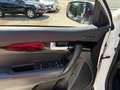 Kia Sorento Platinum Edition 4WD/ Vollausstattung Weiß - thumbnail 12