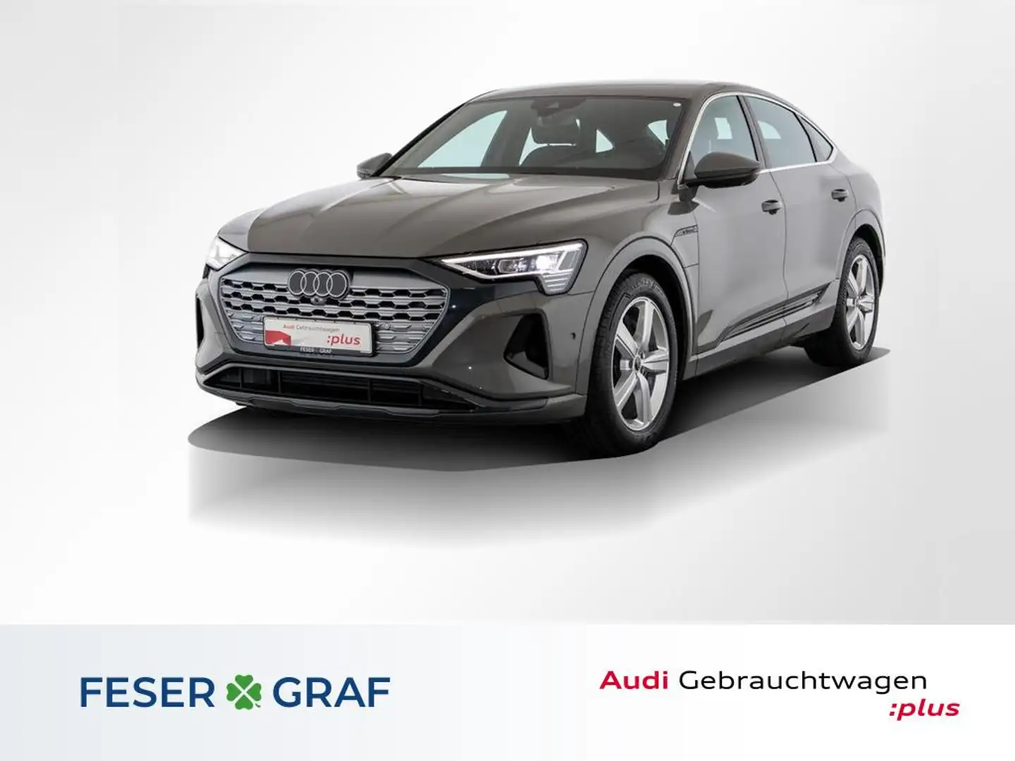Audi Q8 Sportback 50 e-tron Navi Plus/ Luftfederung Grau - 1