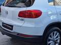 Volkswagen Tiguan 2.0 TDI 140Cv DSG Sport&Style 4Motion Bi-Xeno PDC Bianco - thumbnail 5