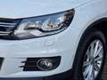 Volkswagen Tiguan 2.0 TDI 140Cv DSG Sport&Style 4Motion Bi-Xeno PDC Bianco - thumbnail 6