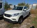 KGM Sonstige SSANGYONGREXTONSPORTS 4x4 Weiß - thumbnail 1
