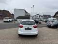 Ford C-Max Titanium PDC Tempo Sitzhz Alus 2.HAND Bianco - thumbnail 7
