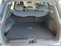 Renault Kadjar 1.5 BLUE dCi 115 Bose Edition Grau - thumbnail 19