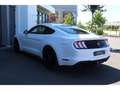 Ford Mustang Mustang Fastback 5.0 V8 Ti-VCT - 450 COUPE GT Blanc - thumbnail 6