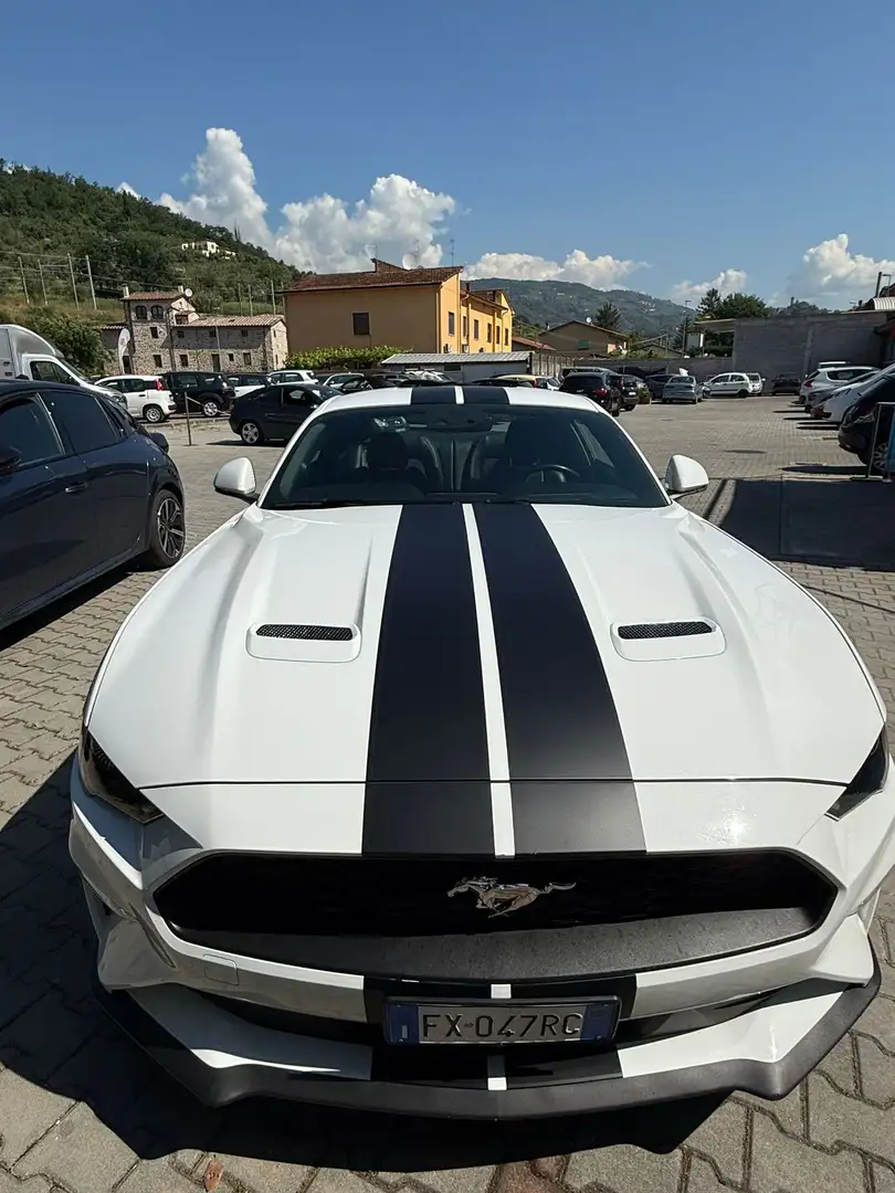 Ford Mustang Fastback 2.3 ecoboost 290cv auto my19 - 2