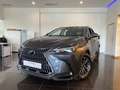 Lexus NX 450h+ Premium+ 4WD Bleu - thumbnail 2