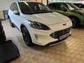 Ford Kuga Titanium X *GJR-HUD-ACC-B&O* Weiß - thumbnail 4
