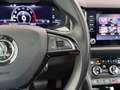 Skoda Kodiaq 1.5 TSI Business Edition Plus Trekhaak/Panodak/Cam Grün - thumbnail 31